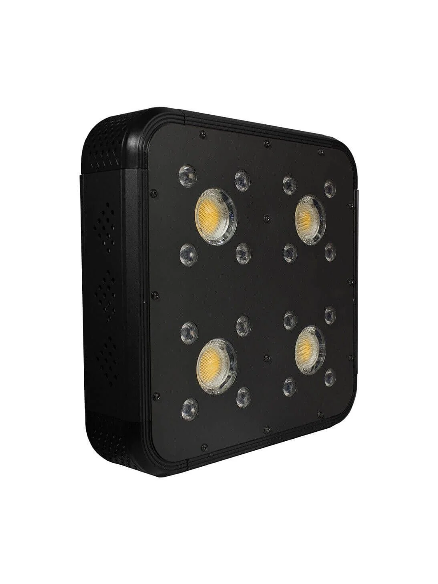 Apollo Evolution Pro 4 150W-Delight 2