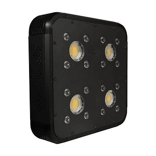 APOLLO EVOLUTION PRO 4 150W-DELIGHT