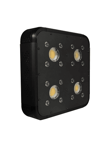 APOLLO EVOLUTION PRO 4 150W-DELIGHT 2