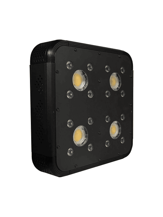 APOLLO EVOLUTION PRO 4 150W-DELIGHT 2