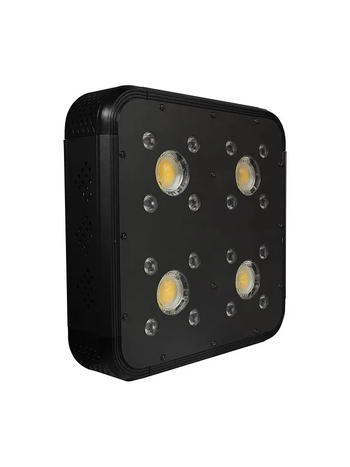 Apollo Evolution Pro 4 150W-Delight 2