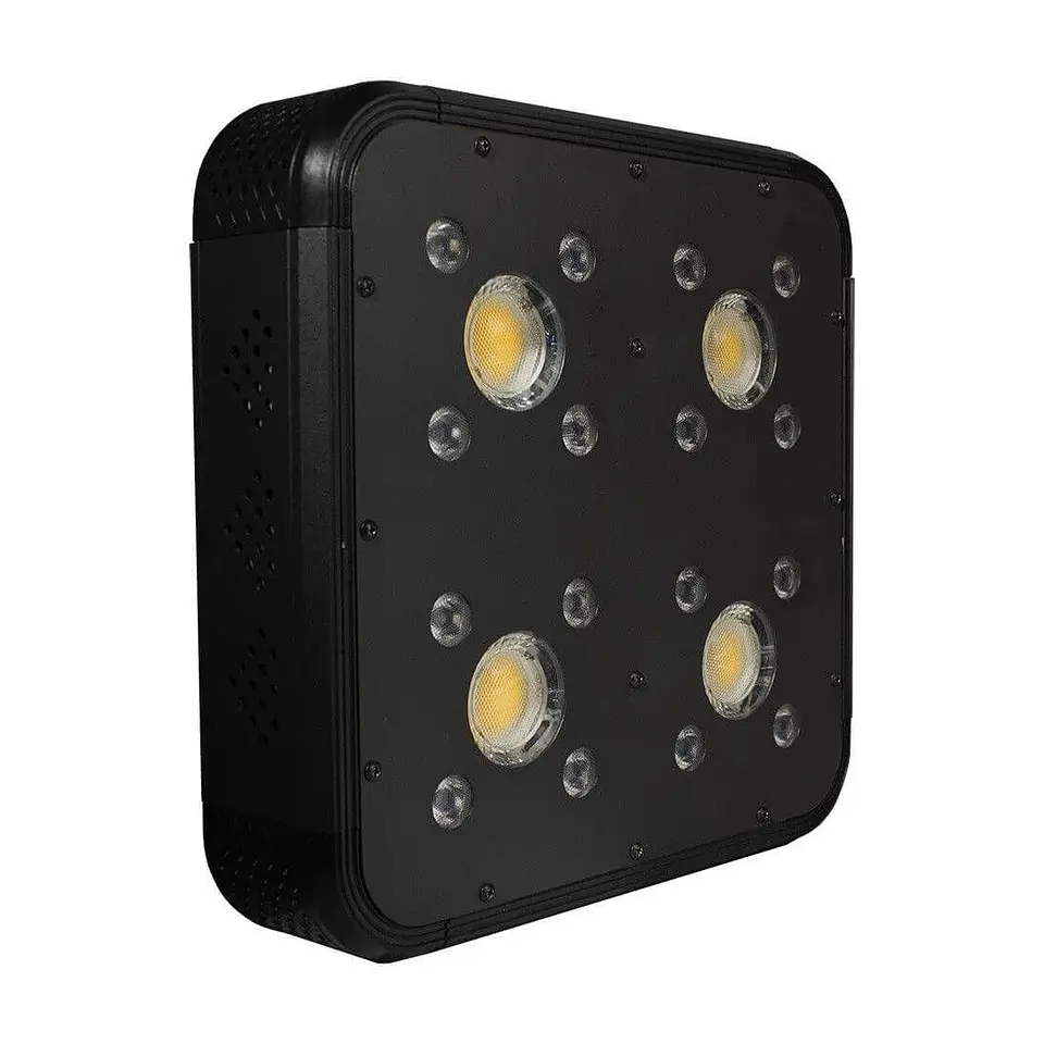 Apollo Evolution Pro 4 150W-Delight 2