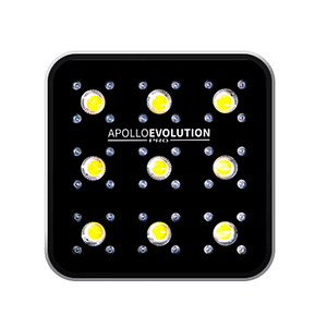 Apollo Evolution Pro 9 300W-Delight