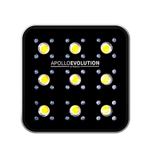 APOLLO EVOLUTION PRO 9 300W-DELIGHT