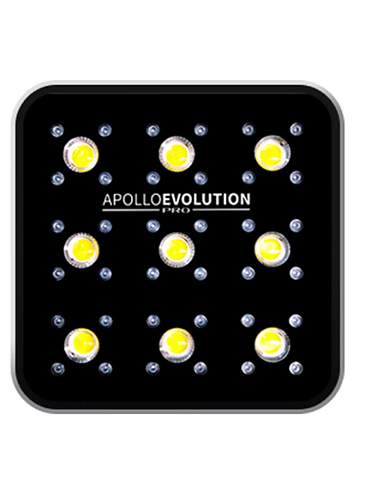 APOLLO EVOLUTION PRO 9 300W-DELIGHT 1