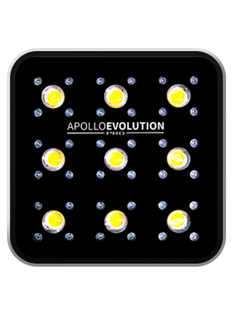Apollo Evolution Pro 9 300W-Delight