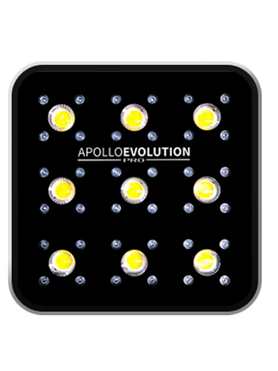 APOLLO EVOLUTION PRO 9 300W-DELIGHT 1