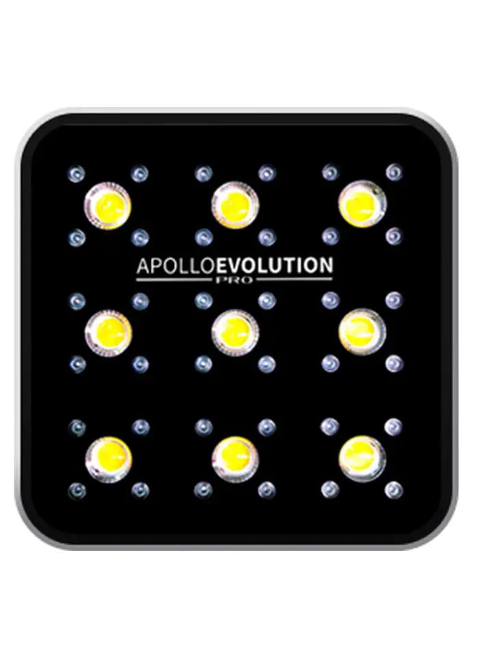 Apollo Evolution Pro 9 300W-Delight 1