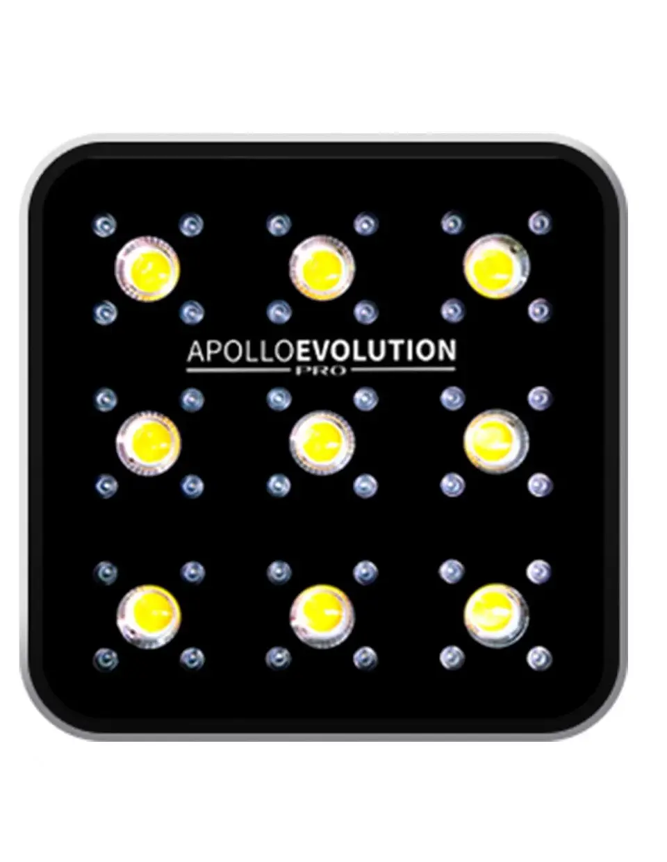Apollo Evolution Pro 9 300W-Delight 1