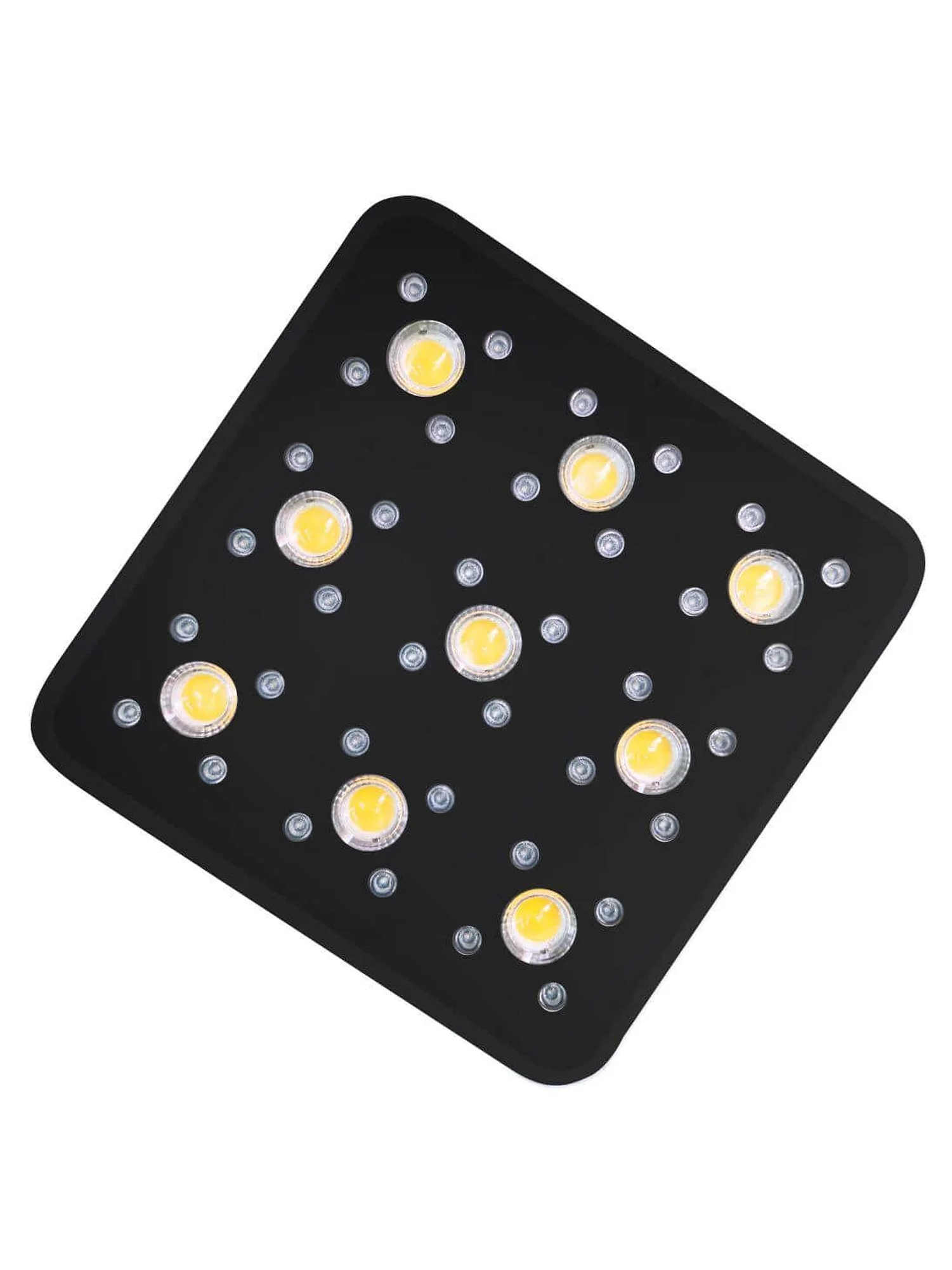 Apollo Evolution Pro 9 300W-Delight 2