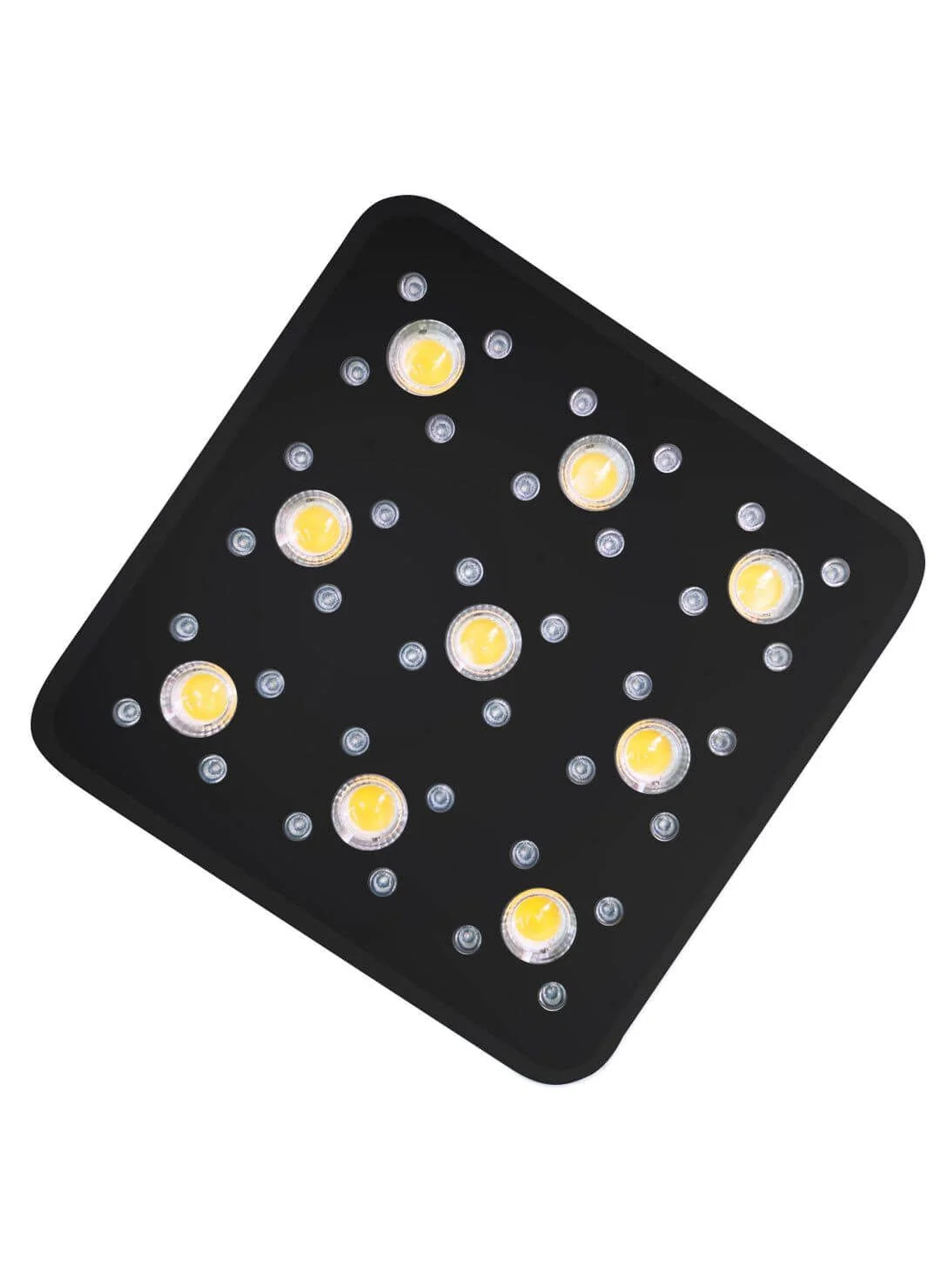 Apollo Evolution Pro 9 300W-Delight 2