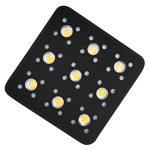 Apollo Evolution Pro 9 300W-Delight