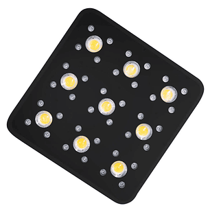 APOLLO EVOLUTION PRO 9 300W-DELIGHT