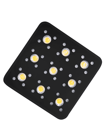 APOLLO EVOLUTION PRO 9 300W-DELIGHT 2