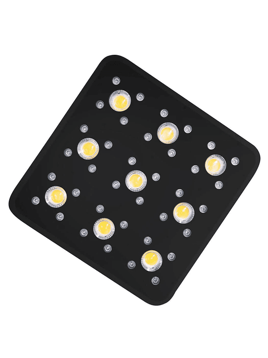 APOLLO EVOLUTION PRO 9 300W-DELIGHT 2