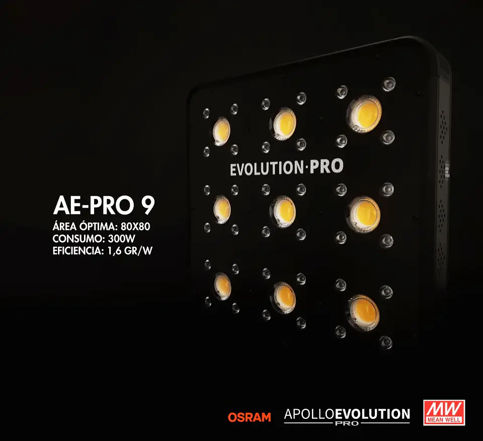 Apollo Evolution Pro 9 300W-Delight 3