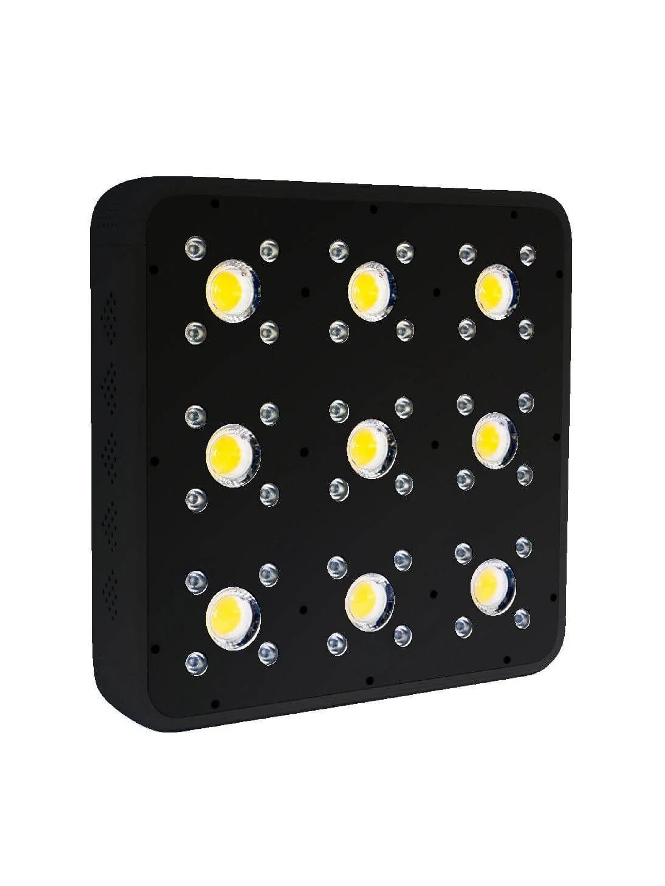 Apollo Evolution Pro 9 300W-Delight 5