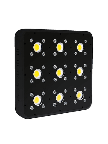 APOLLO EVOLUTION PRO 9 300W-DELIGHT 5