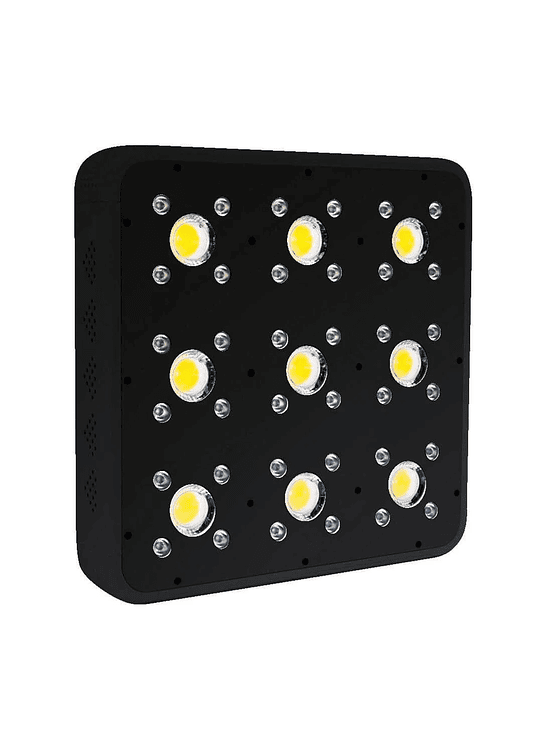 APOLLO EVOLUTION PRO 9 300W-DELIGHT 5