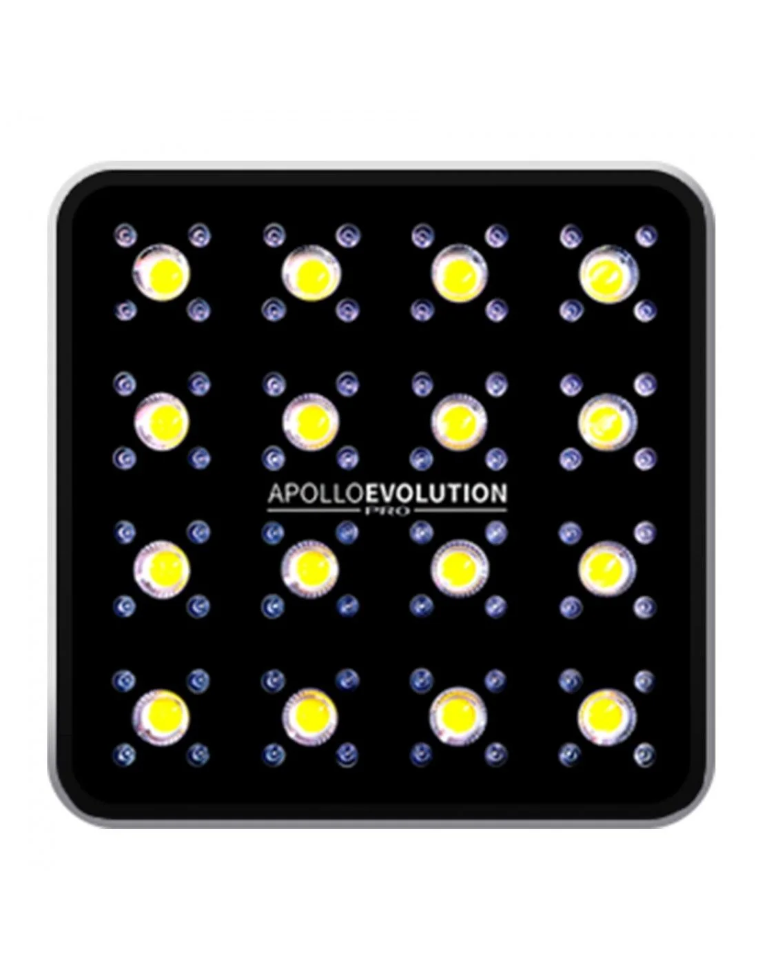 Apollo Evolution Pro 16 480W-Delight 1
