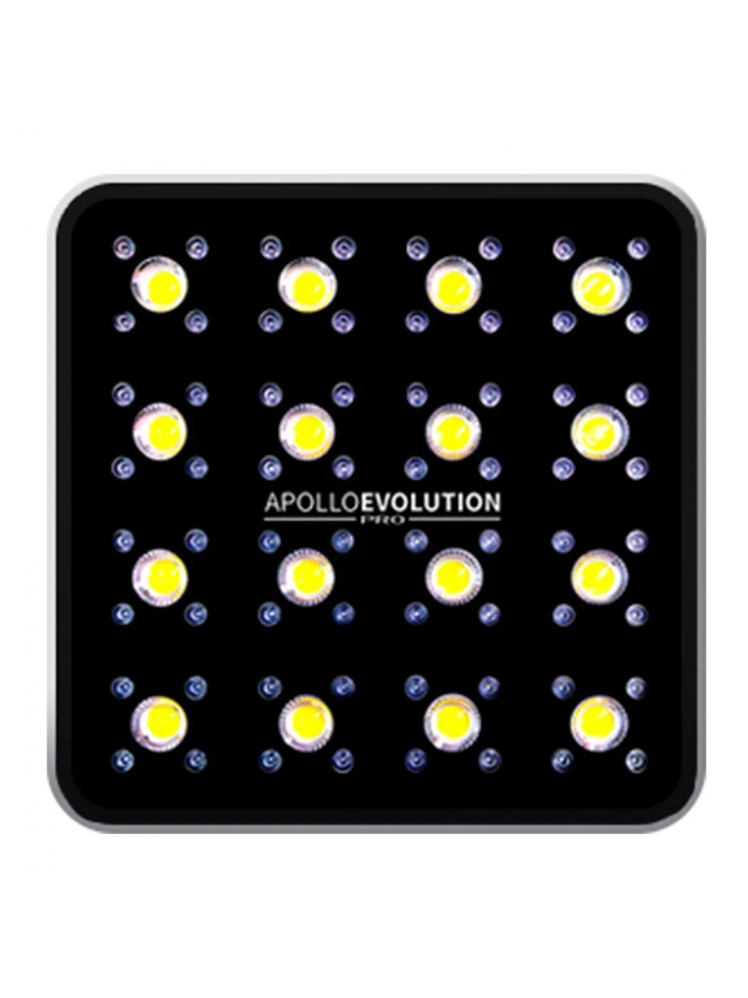 Apollo Evolution Pro 16 480W-Delight 1