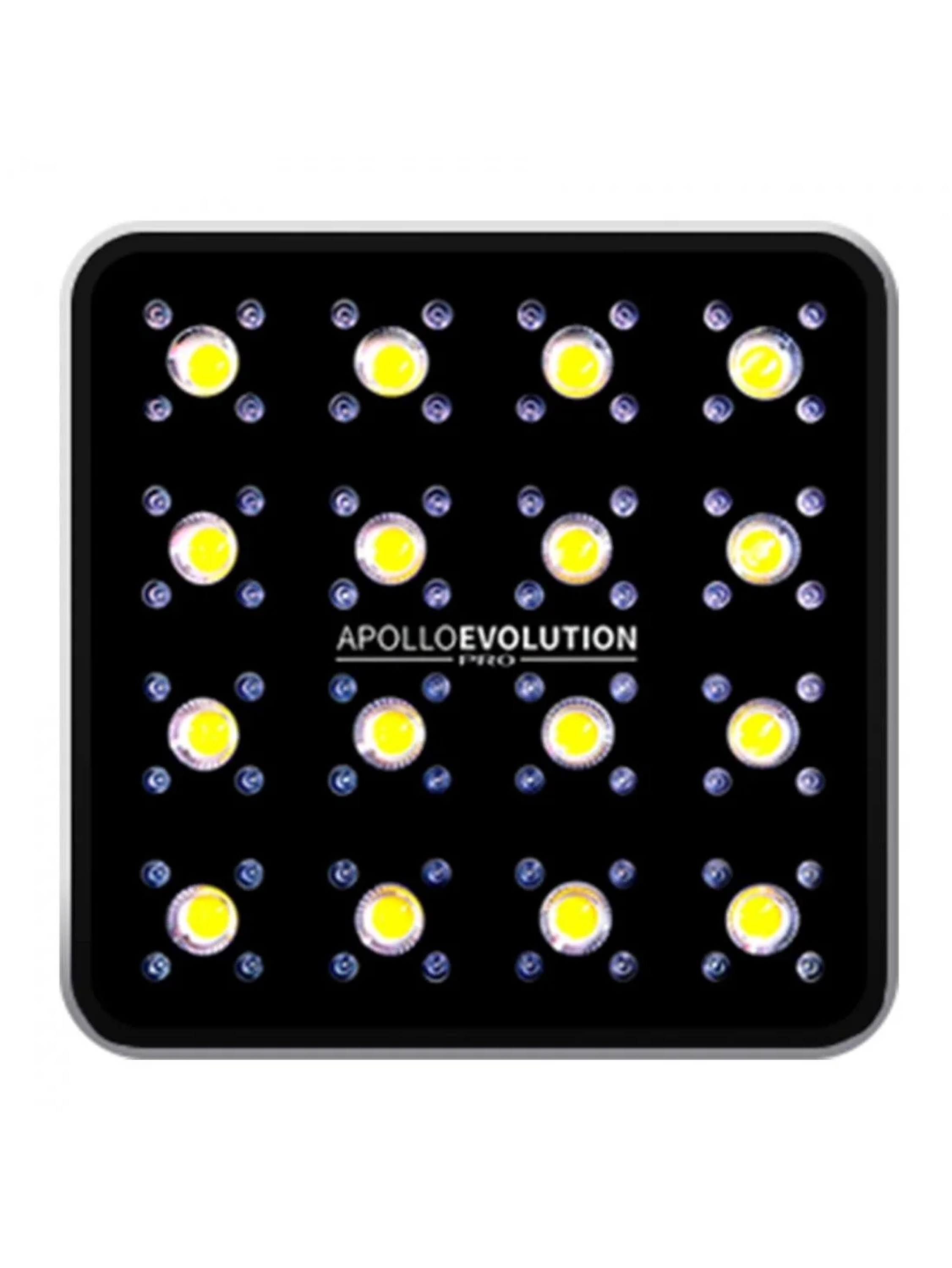 Apollo Evolution Pro 16 480W-Delight 1