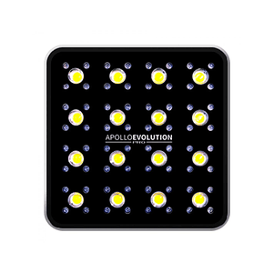 Apollo Evolution Pro 16 480W-Delight