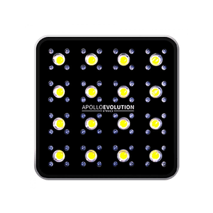 APOLLO EVOLUTION PRO 16 480W-DELIGHT