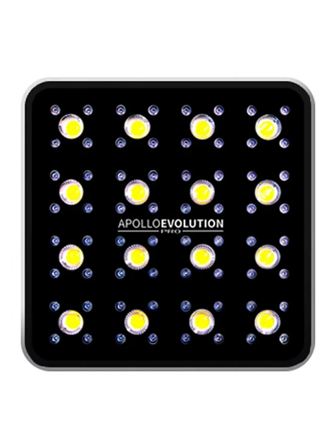 Apollo Evolution Pro 16 480W-Delight 1