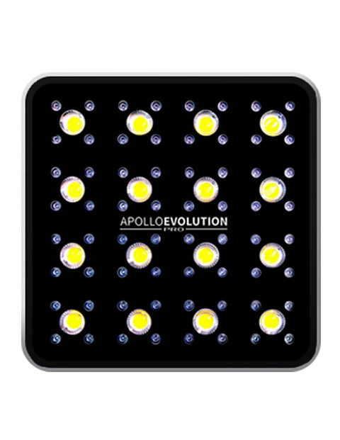 Apollo Evolution Pro 16 480W-Delight
