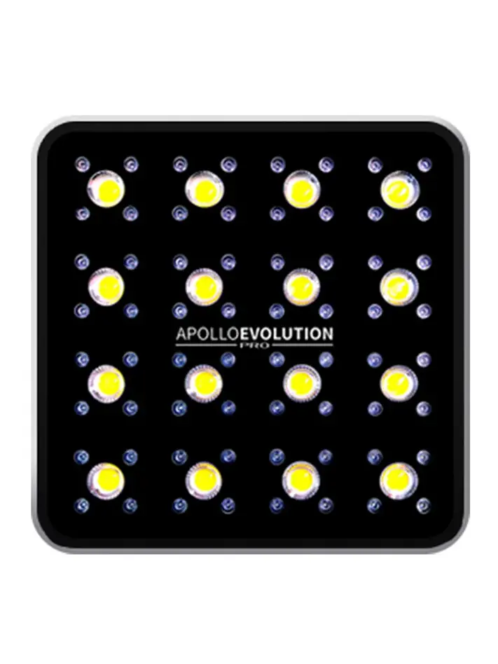 Apollo Evolution Pro 16 480W-Delight 1
