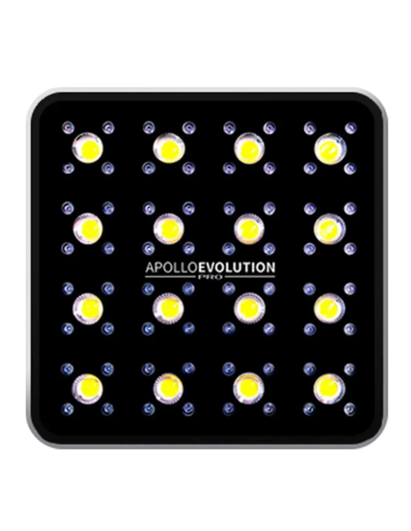 Apollo Evolution Pro 16 480W-Delight 1