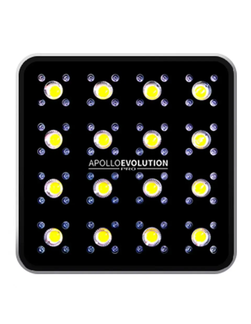 Apollo Evolution Pro 16 480W-Delight 1