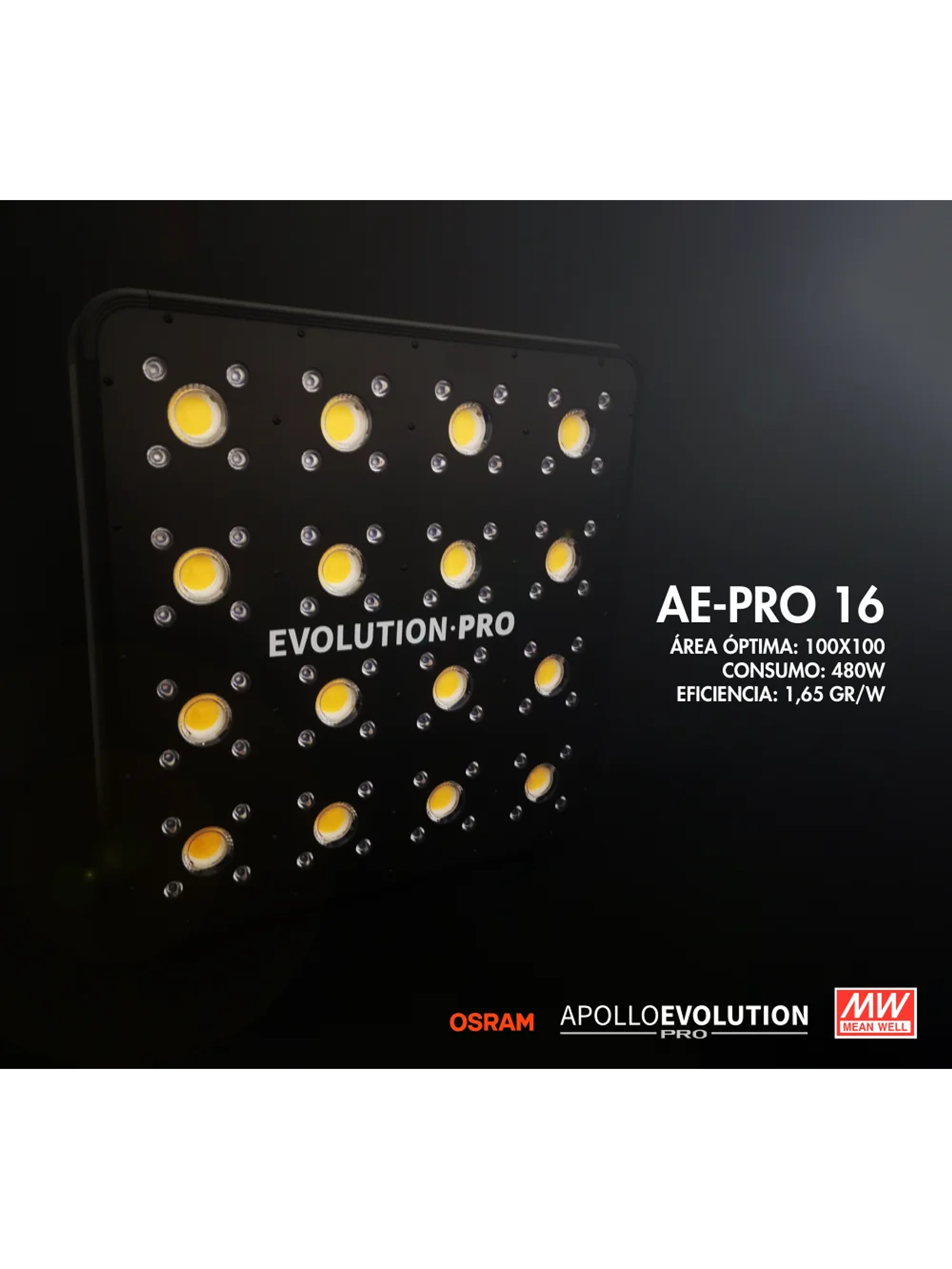 Apollo Evolution Pro 16 480W-Delight 2