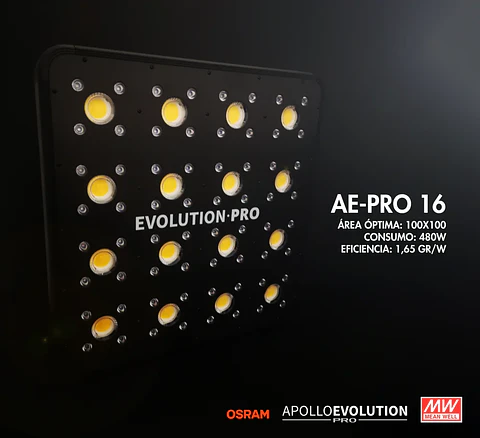 Apollo Evolution Pro 16 480W-Delight