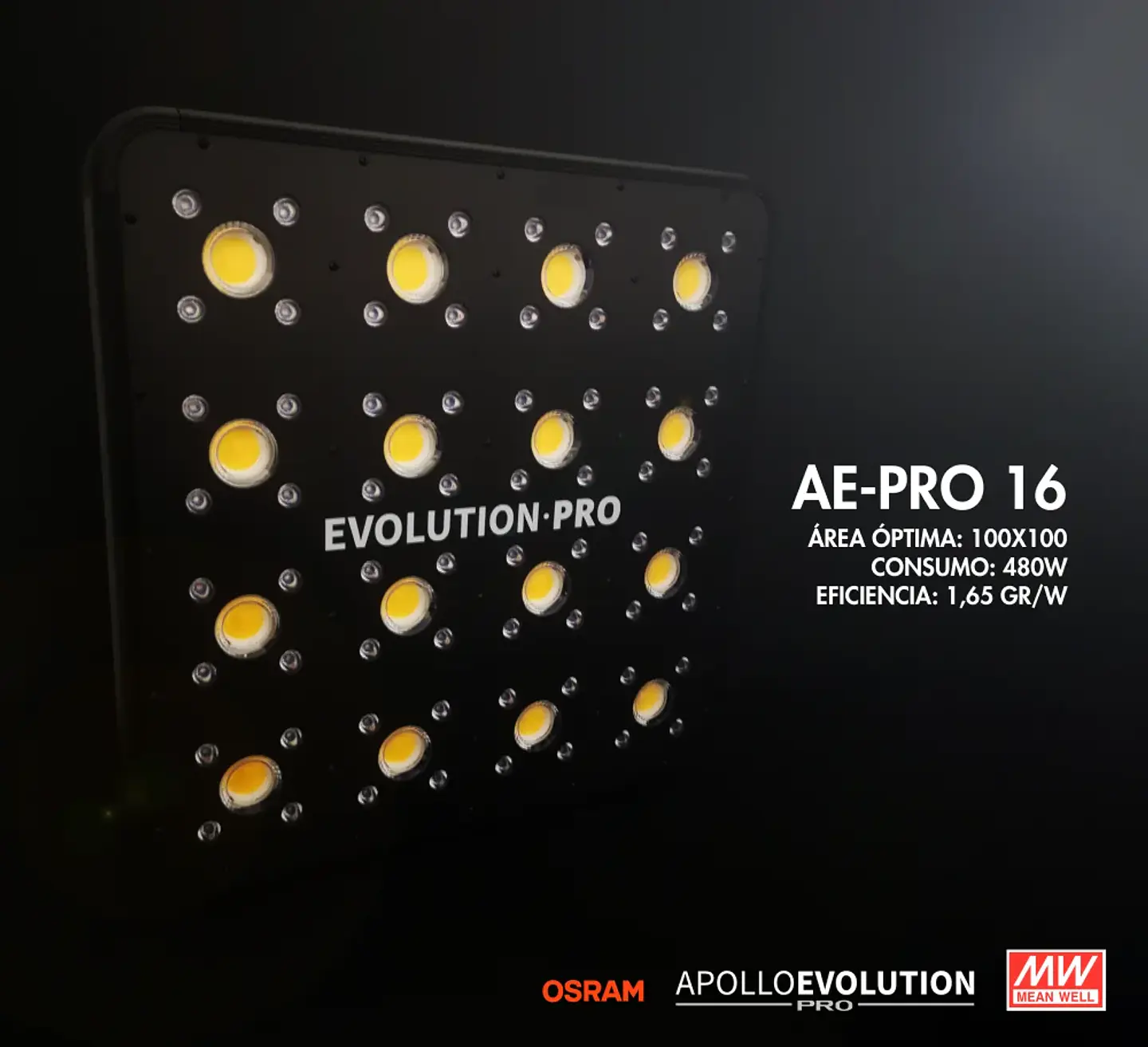 Apollo Evolution Pro 16 480W-Delight 2