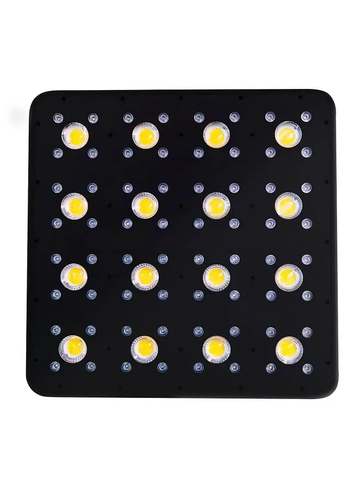 Apollo Evolution Pro 16 480W-Delight 3
