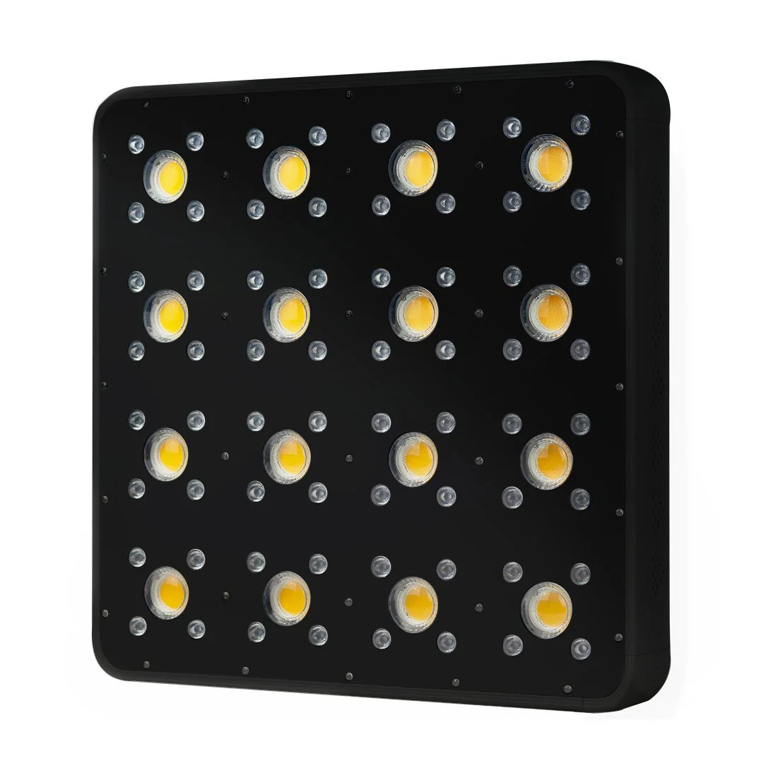 Apollo Evolution Pro 16 480W-Delight 4