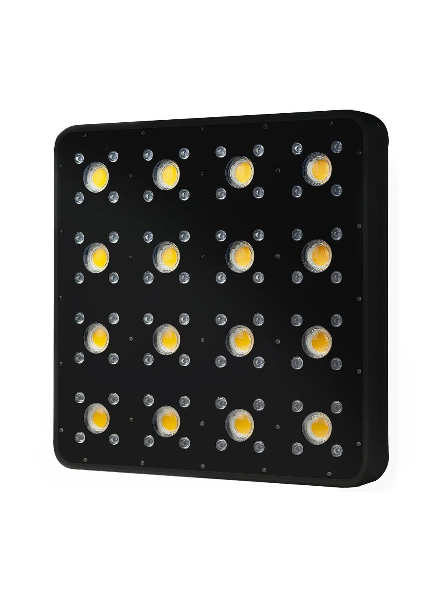 Apollo Evolution Pro 16 480W-Delight 4