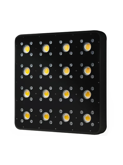 Apollo Evolution Pro 16 480W-Delight 4