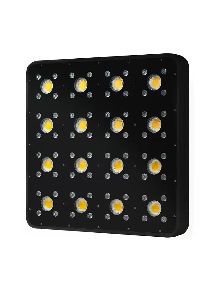 Apollo Evolution Pro 16 480W-Delight 4