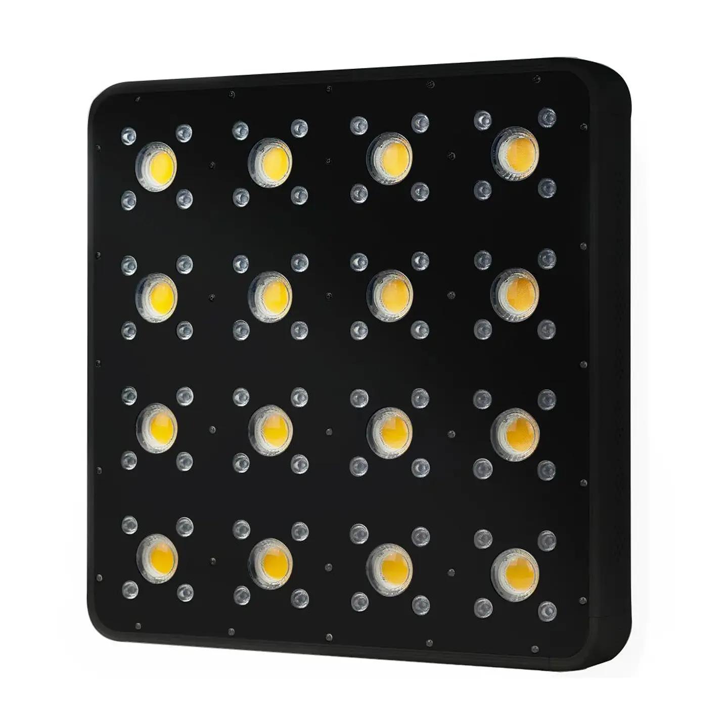 Apollo Evolution Pro 16 480W-Delight 4