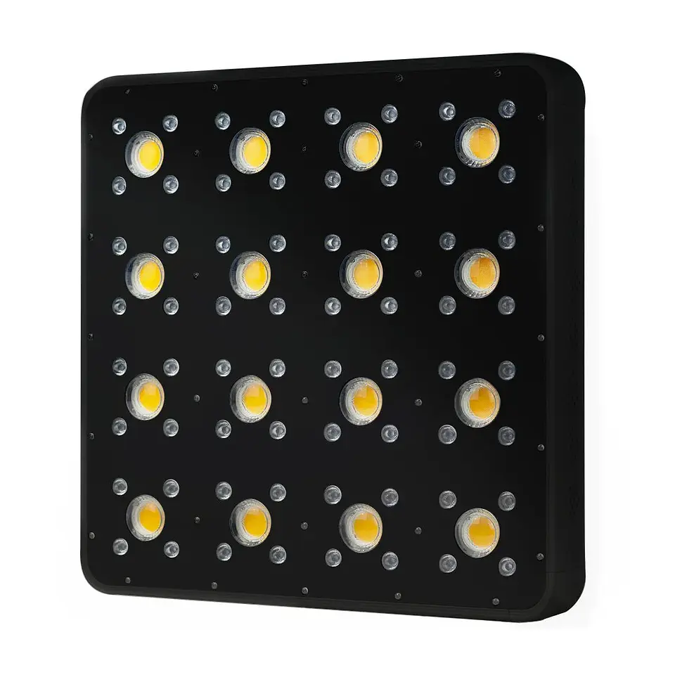 Apollo Evolution Pro 16 480W-Delight 4