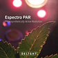 Apollo Evolution Pro 16 480W-Delight - Miniatura 5