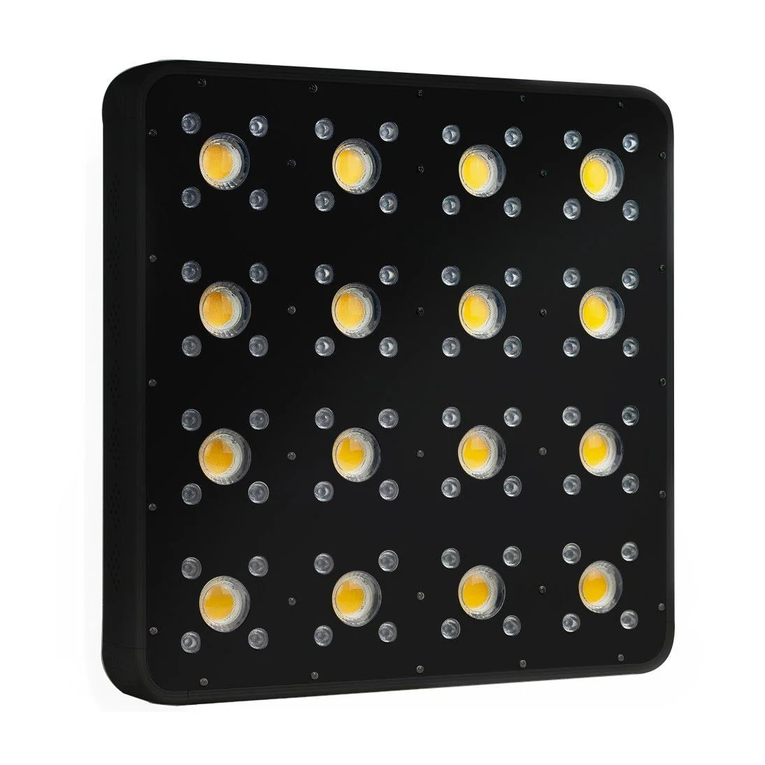Apollo Evolution Pro 16 480W-Delight 6