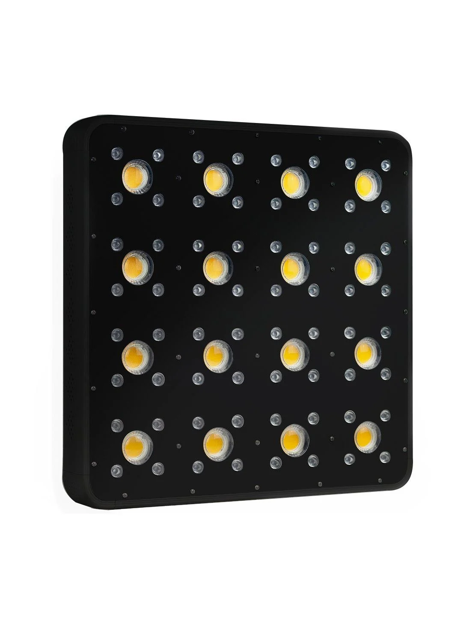 Apollo Evolution Pro 16 480W-Delight 6