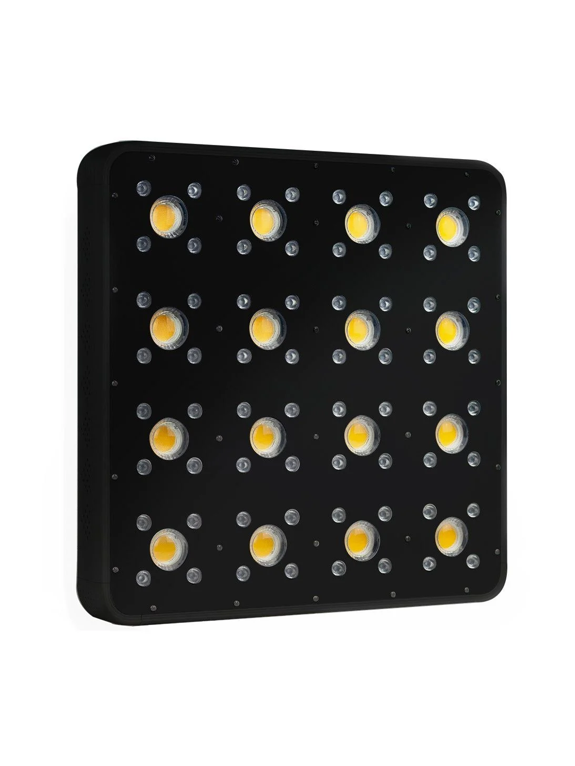 Apollo Evolution Pro 16 480W-Delight 6