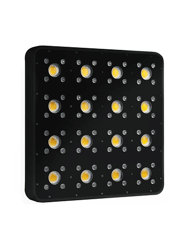 APOLLO EVOLUTION PRO 16 480W-DELIGHT 6