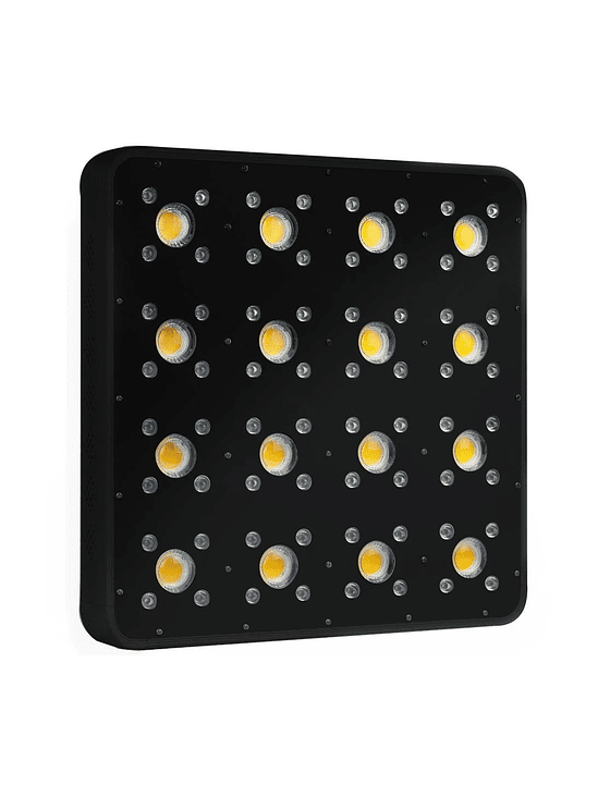 APOLLO EVOLUTION PRO 16 480W-DELIGHT 6