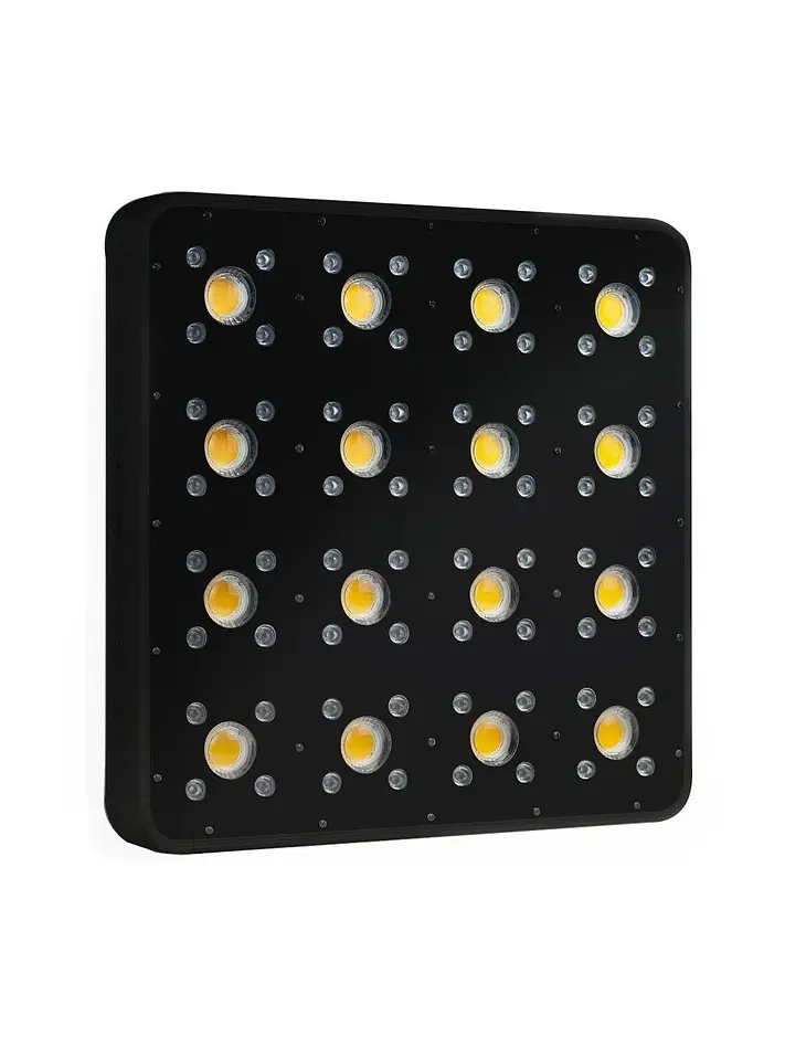 Apollo Evolution Pro 16 480W-Delight 6